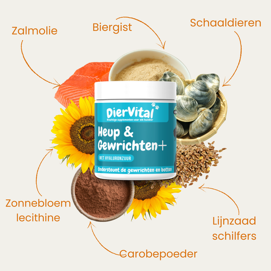 Heup & Gewrichten