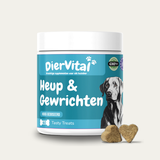 Heup & Gewrichten