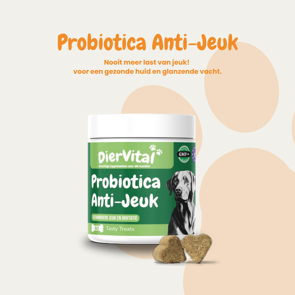 Happy & Healthy Bundle