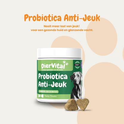 Happy & Healthy Bundle