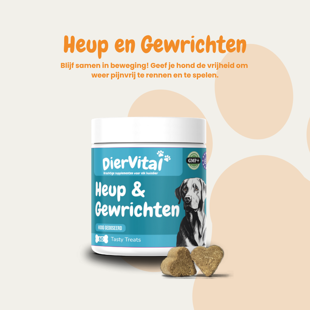 Happy & Healthy Bundle