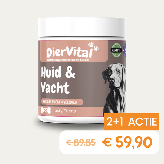 Huid & Vacht