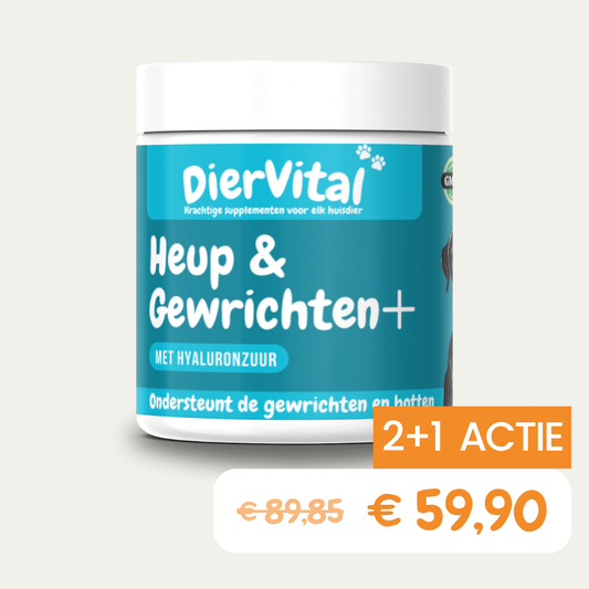 Heup & Gewrichten