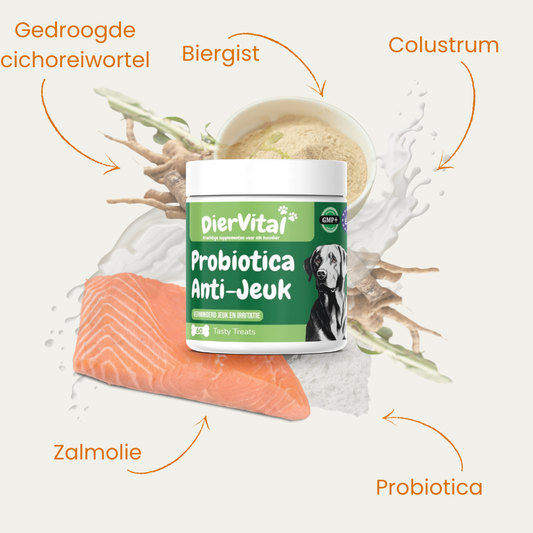 Probiotica Anti Jeuk